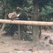 ヒメ日記 2026/08/13 22:30 投稿 あや ウルトラグレイス24