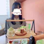 わかな 🐶11月のイベント💚 ニュー不夜城