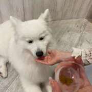 ヒメ日記 2026/01/14 23:44 投稿 わかな ニュー不夜城