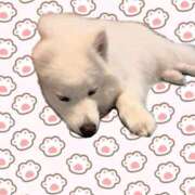 ヒメ日記 2026/03/15 23:01 投稿 あんず 素人系イメージSOAP彼女感大宮館