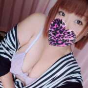 ヒメ日記 2025/02/28 13:41 投稿 ひめ 大垣羽島安八ちゃんこ