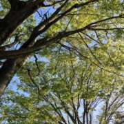 ヒメ日記 2025/04/15 10:50 投稿 海野 モアグループ大宮人妻花壇