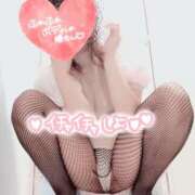 ヒメ日記 2025/04/30 14:18 投稿 海野 モアグループ大宮人妻花壇