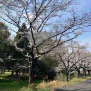 ヒメ日記 2025/04/05 23:33 投稿 海野 モアグループ春日部人妻城