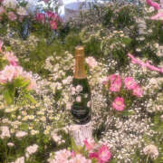 ヒメ日記 2024/12/20 00:03 投稿 えみり セータームーン