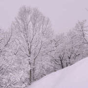 ヒメ日記 2025/03/04 16:46 投稿 えみり セータームーン