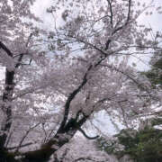 ヒメ日記 2025/03/30 19:15 投稿 えみり セータームーン