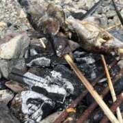 なず こんにちは🐱 THE ESUTE 五反田店