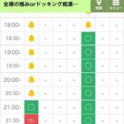 ヒメ日記 2024/11/11 14:05 投稿 矢沢せな 全裸の極みorドッキング痴漢電車