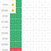 ヒメ日記 2024/12/14 16:05 投稿 矢沢せな 全裸の極みorドッキング痴漢電車