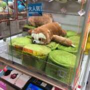 ヒメ日記 2025/01/03 22:45 投稿 矢沢せな 全裸の極みorドッキング痴漢電車