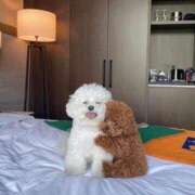 ヒメ日記 2025/01/13 17:15 投稿 矢沢せな 全裸の極みorドッキング痴漢電車