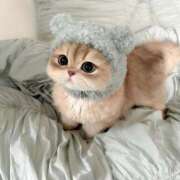 ヒメ日記 2025/01/14 13:17 投稿 矢沢せな 全裸の極みorドッキング痴漢電車