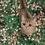 ヒメ日記 2025/02/23 15:05 投稿 矢沢せな 全裸の極みorドッキング痴漢電車