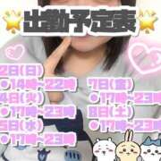 ヒメ日記 2025/02/27 14:45 投稿 矢沢せな 全裸の極みorドッキング痴漢電車