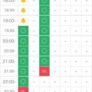 ヒメ日記 2025/02/28 10:45 投稿 矢沢せな 全裸の極みorドッキング痴漢電車