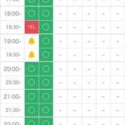 ヒメ日記 2025/03/07 13:45 投稿 矢沢せな 全裸の極みorドッキング痴漢電車
