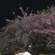 ヒメ日記 2025/03/18 19:45 投稿 矢沢せな 全裸の極みorドッキング痴漢電車