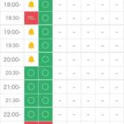 ヒメ日記 2025/03/21 18:15 投稿 矢沢せな 全裸の極みorドッキング痴漢電車