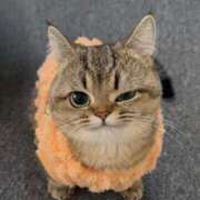 ヒメ日記 2025/04/03 14:35 投稿 矢沢せな 全裸の極みorドッキング痴漢電車