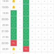 ヒメ日記 2025/04/11 10:45 投稿 矢沢せな 全裸の極みorドッキング痴漢電車