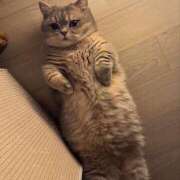 ヒメ日記 2025/05/15 13:47 投稿 矢沢せな 全裸の極みorドッキング痴漢電車