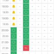 ヒメ日記 2025/06/13 10:45 投稿 矢沢せな 全裸の極みorドッキング痴漢電車