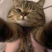 ヒメ日記 2025/06/17 13:47 投稿 矢沢せな 全裸の極みorドッキング痴漢電車