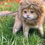 ヒメ日記 2025/06/19 17:35 投稿 矢沢せな 全裸の極みorドッキング痴漢電車