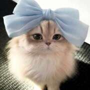 ヒメ日記 2025/07/13 14:45 投稿 矢沢せな 全裸の極みorドッキング痴漢電車