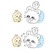 ヒメ日記 2025/08/28 10:45 投稿 矢沢せな 全裸の極みorドッキング痴漢電車