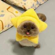 ヒメ日記 2025/09/01 14:35 投稿 矢沢せな 全裸の極みorドッキング痴漢電車