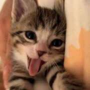 ヒメ日記 2025/09/23 15:45 投稿 矢沢せな 全裸の極みorドッキング痴漢電車