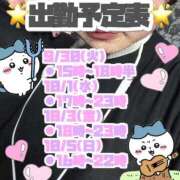ヒメ日記 2025/09/29 17:10 投稿 矢沢せな 全裸の極みorドッキング痴漢電車