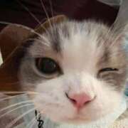 ヒメ日記 2025/10/05 10:45 投稿 矢沢せな 全裸の極みorドッキング痴漢電車