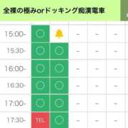 ヒメ日記 2025/10/28 11:05 投稿 矢沢せな 全裸の極みorドッキング痴漢電車