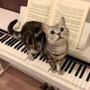 ヒメ日記 2025/11/07 14:45 投稿 矢沢せな 全裸の極みorドッキング痴漢電車