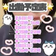 ヒメ日記 2025/11/23 15:46 投稿 矢沢せな 全裸の極みorドッキング痴漢電車