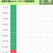ヒメ日記 2025/12/02 13:45 投稿 矢沢せな 全裸の極みorドッキング痴漢電車