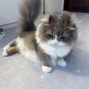 ヒメ日記 2025/12/15 13:45 投稿 矢沢せな 全裸の極みorドッキング痴漢電車