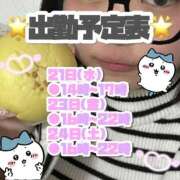 ヒメ日記 2026/01/20 17:15 投稿 矢沢せな 全裸の極みorドッキング痴漢電車