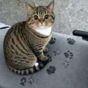 ヒメ日記 2026/01/28 12:45 投稿 矢沢せな 全裸の極みorドッキング痴漢電車