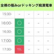 ヒメ日記 2026/01/28 14:21 投稿 矢沢せな 全裸の極みorドッキング痴漢電車