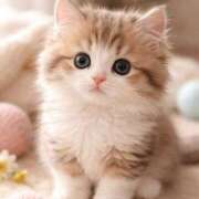 ヒメ日記 2026/02/03 13:13 投稿 矢沢せな 全裸の極みorドッキング痴漢電車