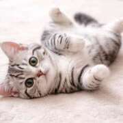 ヒメ日記 2026/03/18 13:45 投稿 矢沢せな 全裸の極みorドッキング痴漢電車