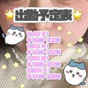 矢沢せな 🌟出勤予定表🌟 全裸の極みorドッキング痴漢電車