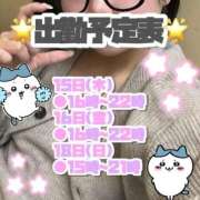 ヒメ日記 2026/10/12 12:15 投稿 矢沢せな 全裸の極みorドッキング痴漢電車