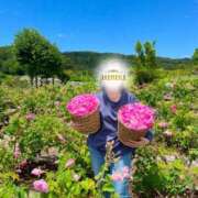 ヒメ日記 2024/12/18 12:06 投稿 響(ひびき) 人妻城 横浜本店