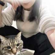 ヒメ日記 2025/01/14 07:02 投稿 響(ひびき) 人妻城 横浜本店