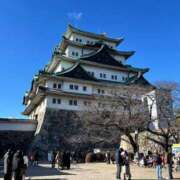 ヒメ日記 2025/01/14 12:05 投稿 響(ひびき) 人妻城 横浜本店